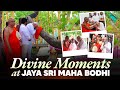 PM Modi S Sacred Visit To Jaya Sri Maha Bodhi In Anuradhapura Sri Lanka