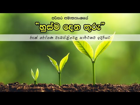 පරිසර අමාත්‍යාංශයේ “හුස්ම දෙන තුරු” රුක් රෝපණ වැඩපිළිවෙළ සාර්ථකව ඉදිරියට