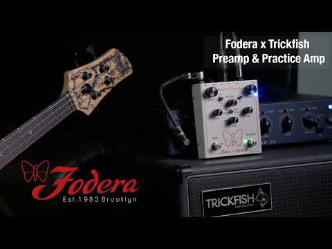 Fodera x Trickfish Preamp & Practice Amp Bass Pedal | Reverb