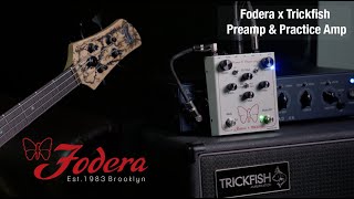 Video thumbnail for Introducing the Fodera X Trickfish Preamp & Practice Amp by Fodera Guitars