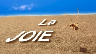 061 LA JOIE