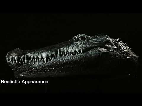 Newly Fltec V005 RC Crocodile Boat