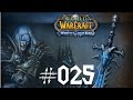 World of Warcraft - Wrath of the Lichking WotLK ...