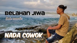 Download lagu BELAHAN JIWA - EVIE TAMALA KARAOKE NADA COWOK/PRIA mp3 Download lagu BELAHAN JIWA - EVIE TAMALA KARAOKE NADA COWOK/PRIA mp3