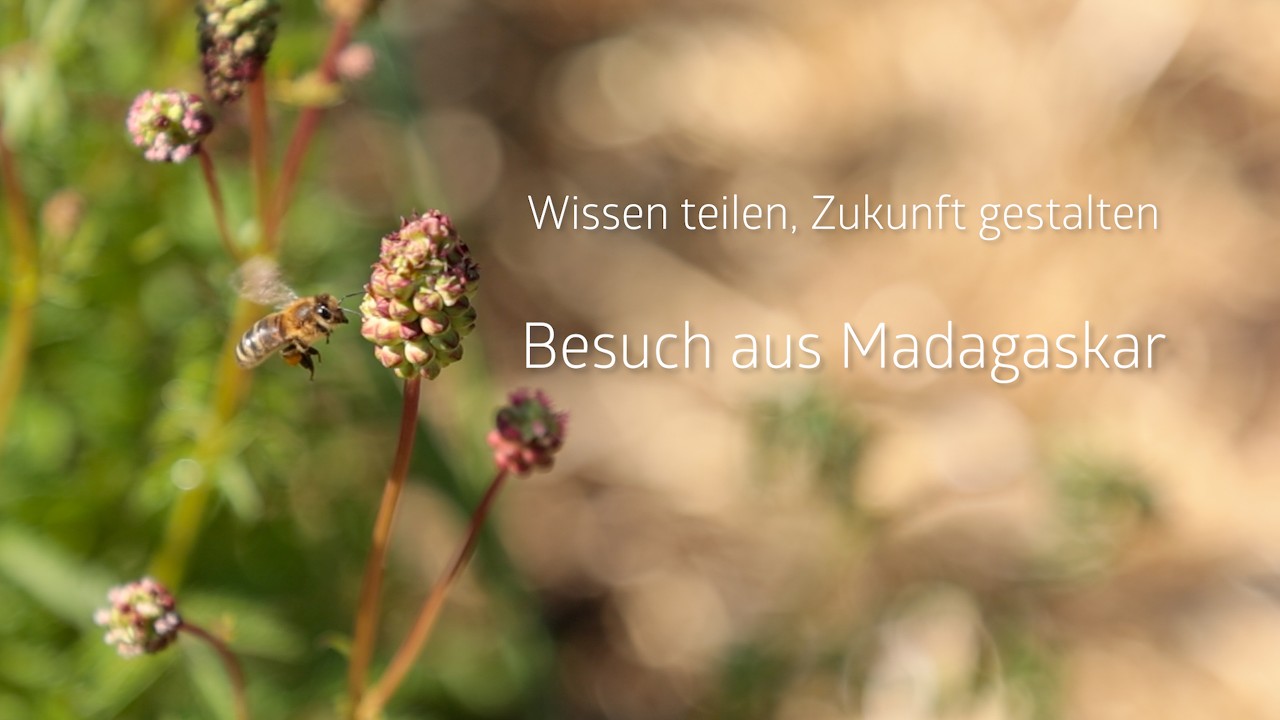 Besuch aus Madagaskar auf unserem Dynamischen Agroforst