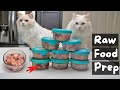 How I Make Homemade Raw Cat Food 6 Easy Steps The Cat Butler