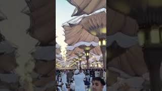 Download lagu Darye Nabi py ye omer bethy #saudiarabia @#saudiaarbia #madinapak mp3
