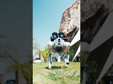 Here’s to Smart! CHANGAN Q07 and Robotic Dog are Approaching!