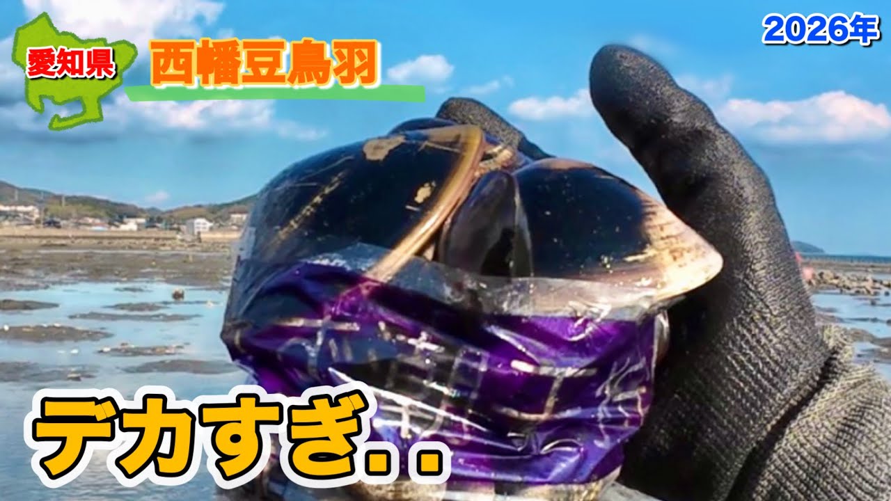 袋8割で終了…と思ったら“過去最大ハマグリ“で逆転【西幡豆鳥羽 潮干狩り】