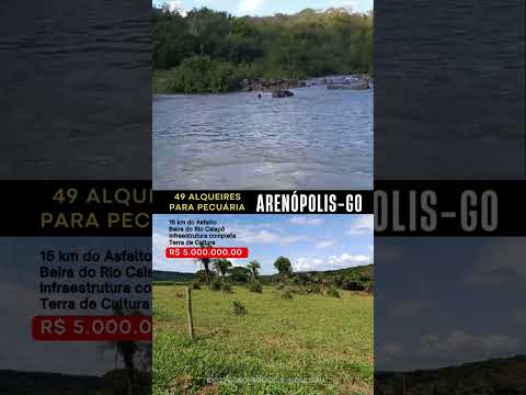 Fazenda em Arenópolis Goiás / whatsapp 62 99373-6407