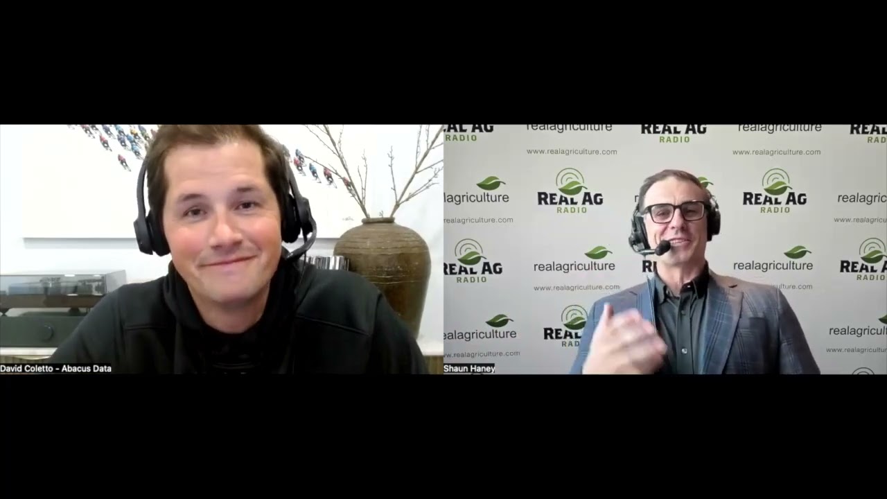 Is the federal Conservative lead really evaporating?