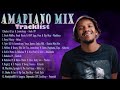 BEST AMAPIANO MIX 2024