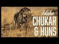 Chukar and Hungarian Partridge Hunting in Idaho
