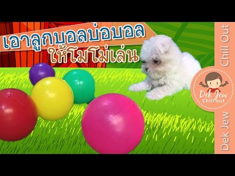 เท่าใดหน้าอกซิลิโคน หน้าอกขยายในเด็ก 3 ปี