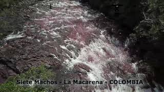 preview picture of video 'Siete machos - La Macarena - COLOMBIA'