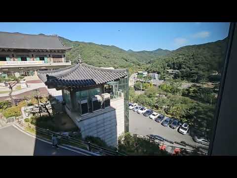 청련사 영상, 방문