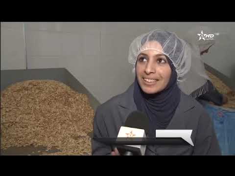 download lagu mp3 mp4 Argan Oil Exporters Morocco, download lagu Argan Oil Exporters Morocco gratis, unduh video klip Argan Oil Exporters Morocco