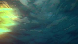 Gas - Königsforst 5 (fan video)