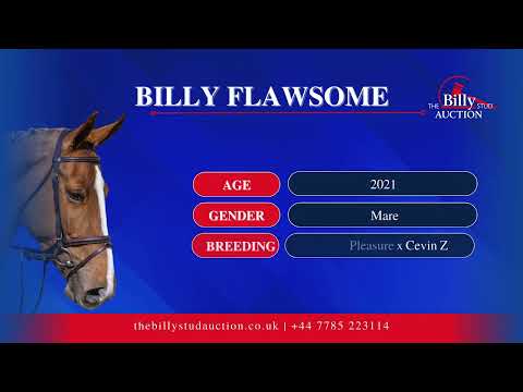 Billy Flawsome