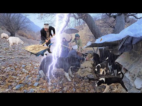 Nomadic Life: Two Wars in the Rain | A Battle for Dogs and a Battle for Survival