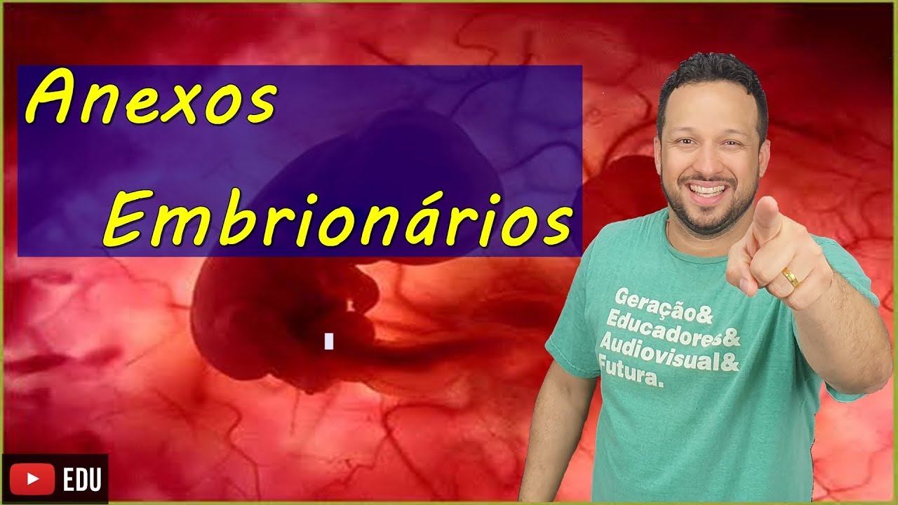 Anexos Embrionários - Embriologia - Aula 8