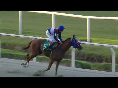 230226 c10 ONLY FOR RUN