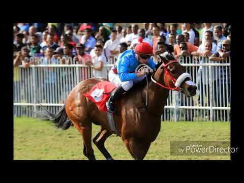 Table Bay remporte le Derby  avec D.Stackhouse