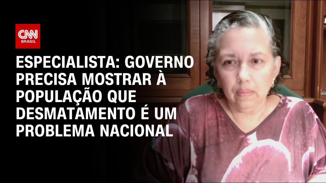 Especialista: Governo precisa mostrar à população que desmatamento é um problema nacional | WW