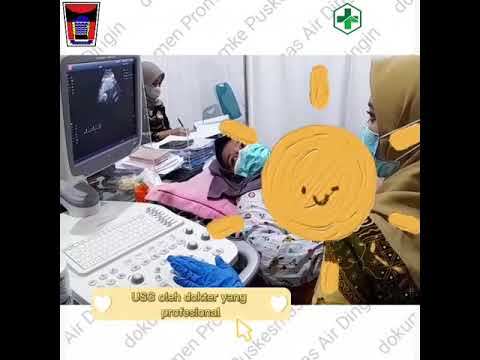 PELAYANAN IBU HAMIL DI PUSKESMAS AIR DINGIN