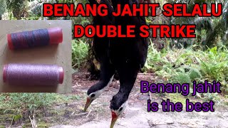 Download lagu mikat Ruak Ruak || Racik benang jahit mp3