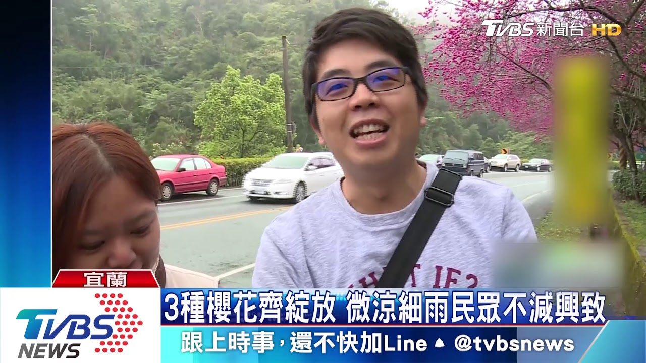 粉色狂潮!最美公路台七丙線 櫻花盛開