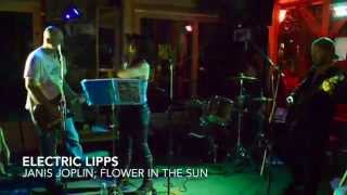 Janis joplin Flowers in the sun Electric lipps Inc