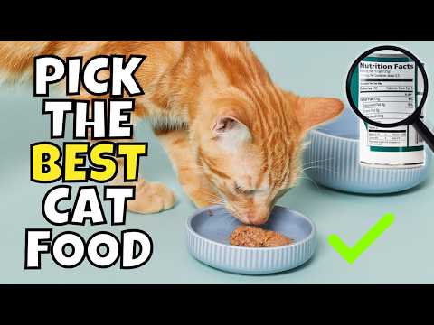 How to Read Cat Food Labels Like a Pro | 7 Easy Tips