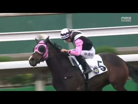 2022/23 (315) - Beauty Champ (美麗喝采) - 班德禮