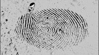 Fingerprint Deposition on a Surface