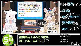 チルい雰囲気で進行していく狐族密会5月Ver.【白神フブキ/尾丸ポルカ/ホロライブ切り抜き】