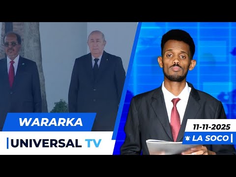 Warka Universal TV 11 11 2025