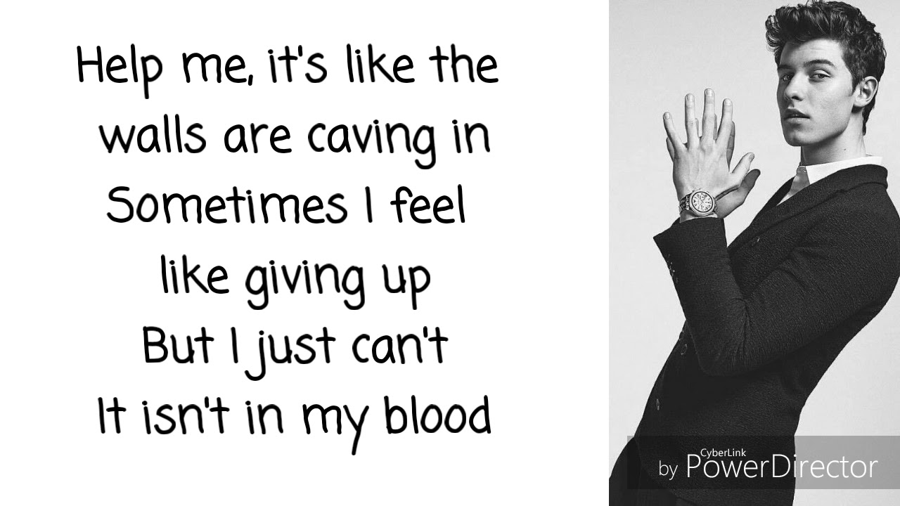 In my blood lyrics by:Shaw mendes