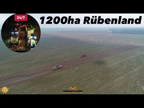 Das letzte Rüben Feld von 1200ha Rübenland! LU Schmiedt Company bei der 24/7 Rüben Kampagne Rüben 23