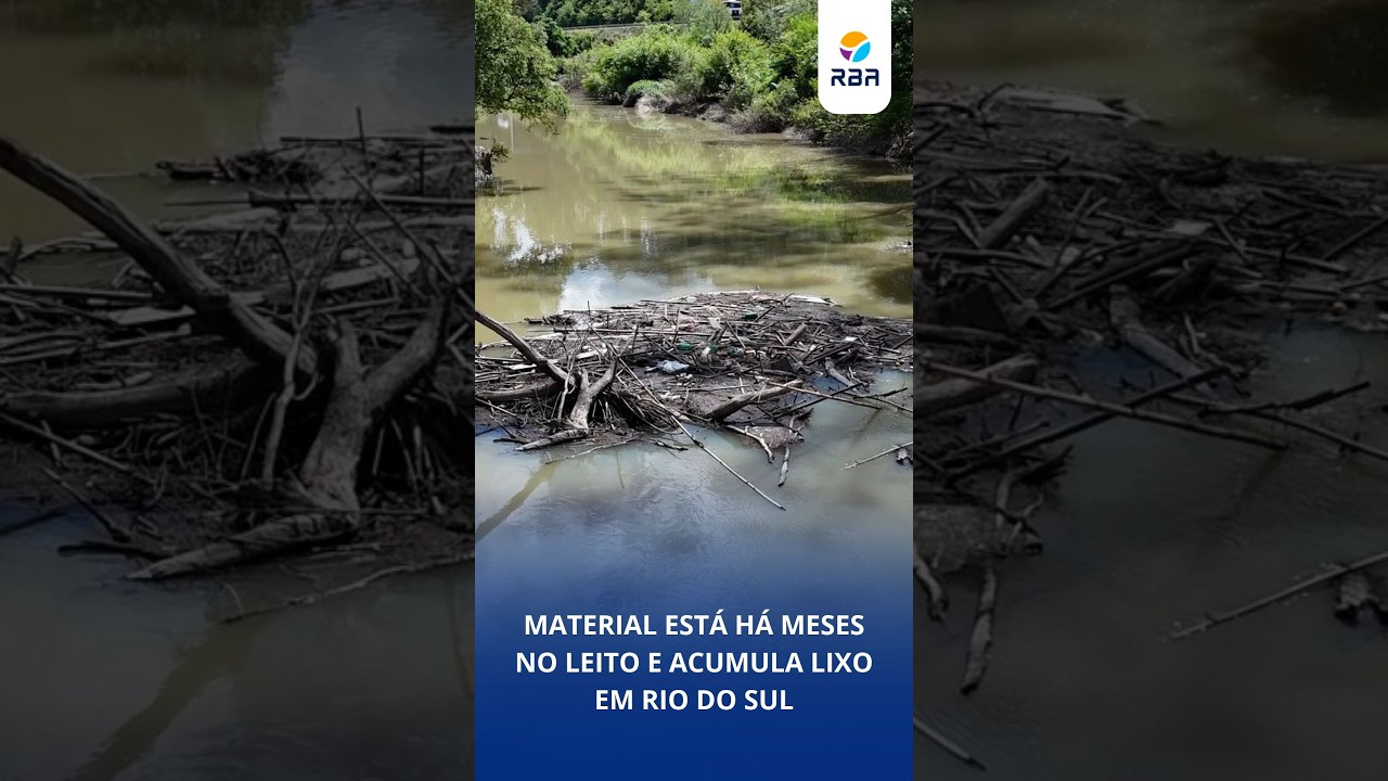 Galhada no rio Trombudo, em Rio do Sul. Material está há meses no leito e acumula lixo