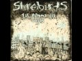 Shorebirds - The Ballad of Marvin Heemeyer