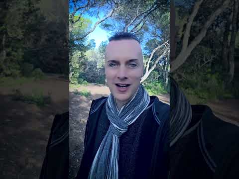 SOLAR FAKE: Greeting from Sven