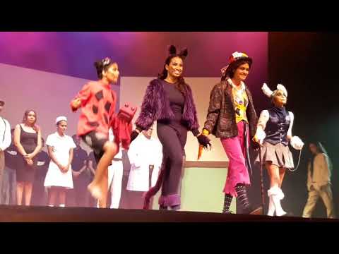 Opening Night Curtain Call of the Mad Hatters' Collective original play 'A Nightmare in Wonderland'