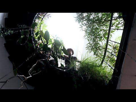 ONHA x DumBeat - Balise (OLIVE session #1)