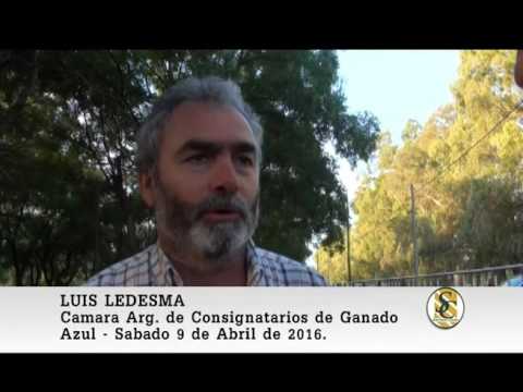09-04-16 Nota Luis Ledesma - Nestor I. Goenaga & Cia S.A. - Azul.