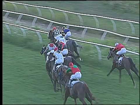 Galoppo 03/08/2016 - 4° corsa