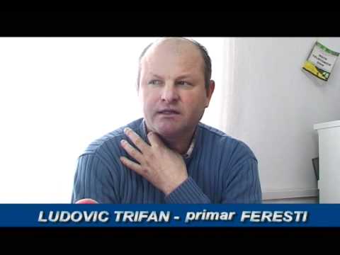 28 FEBRUARIE FERESTI