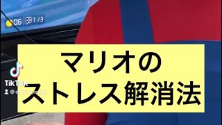【マリオのストレス解消法】
