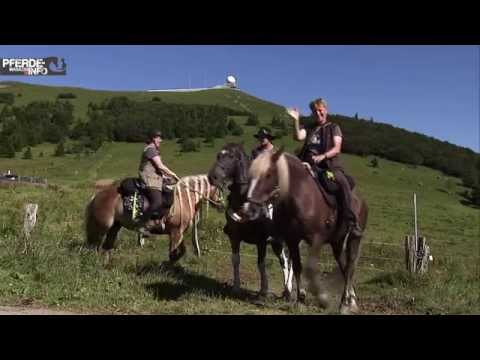 Wanderreiten in den Vogesen