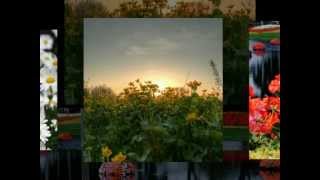 Joyful Joyful  - Beethoven